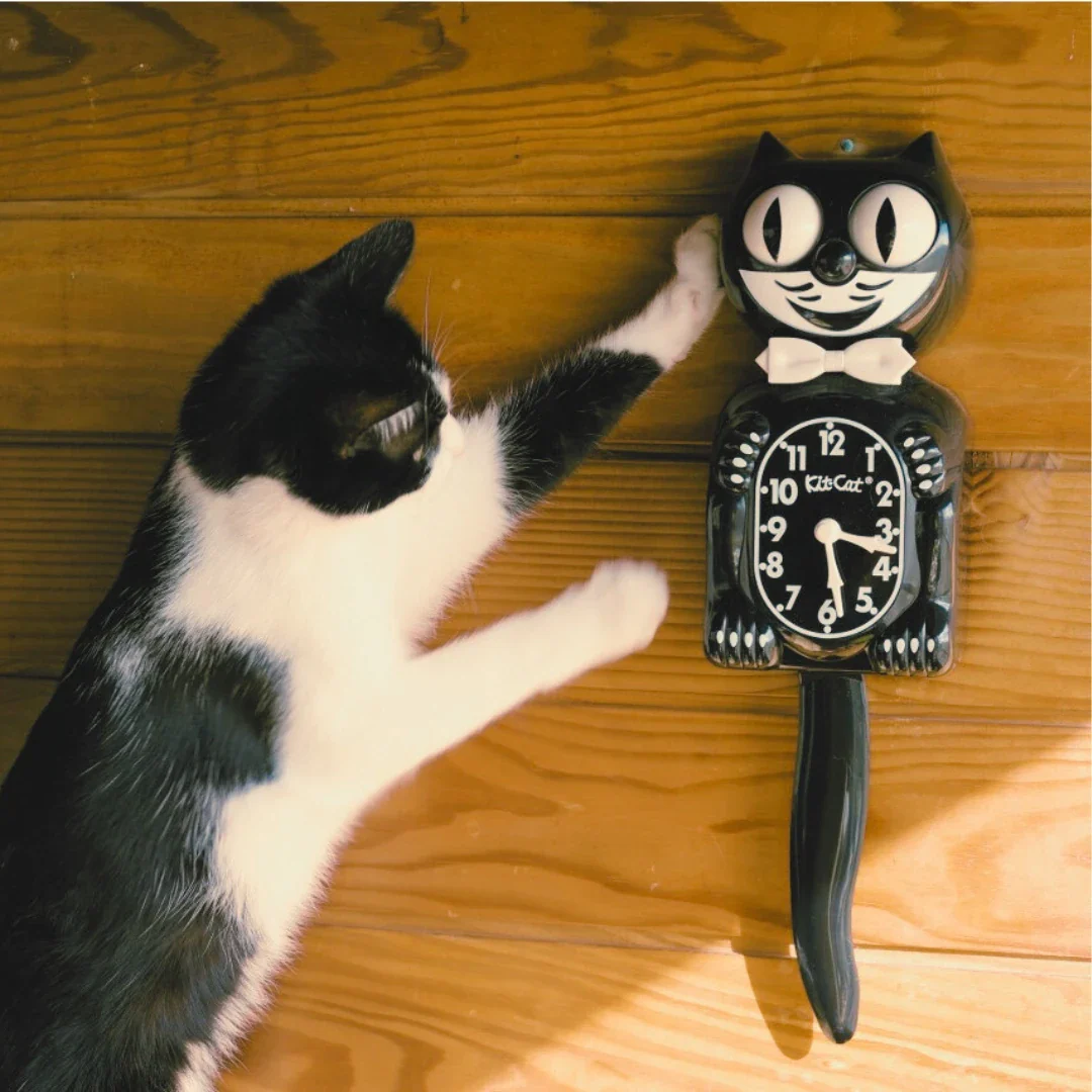 Horloge Kit-Cat Klock Noire (L'Originale) – Image 7