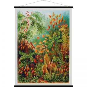 Affiche vintage en tissu Botanique