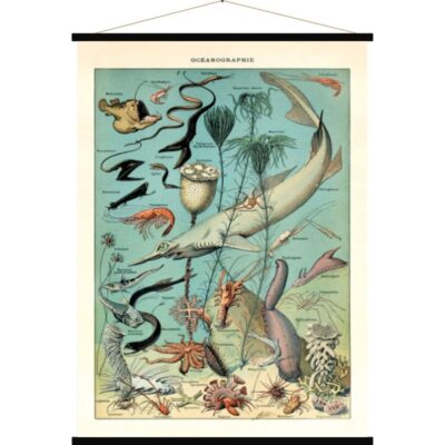 affiche vintage en tissu comme a l'ecole ocean