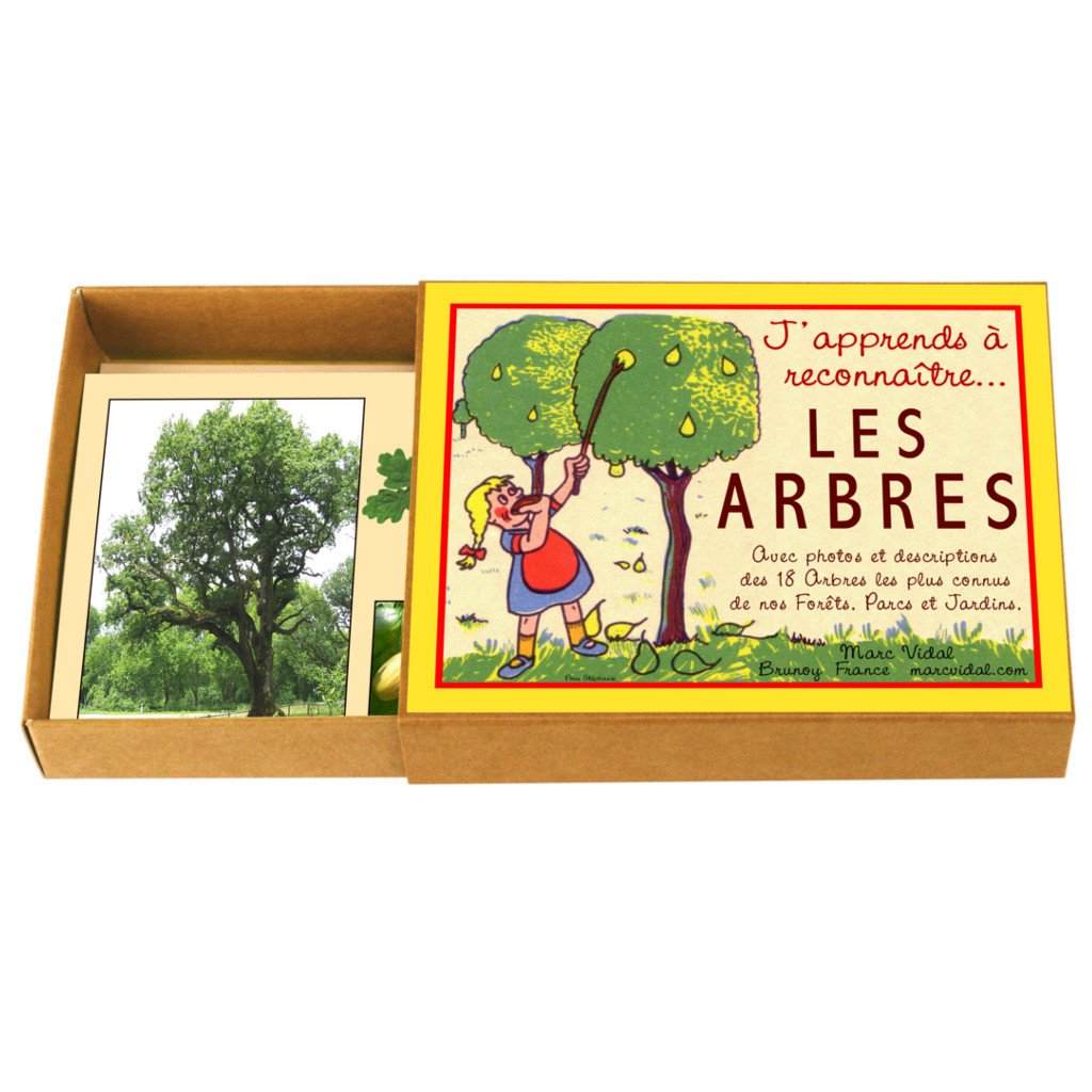 J'Apprends à Reconnaître les Arbres – Image 3