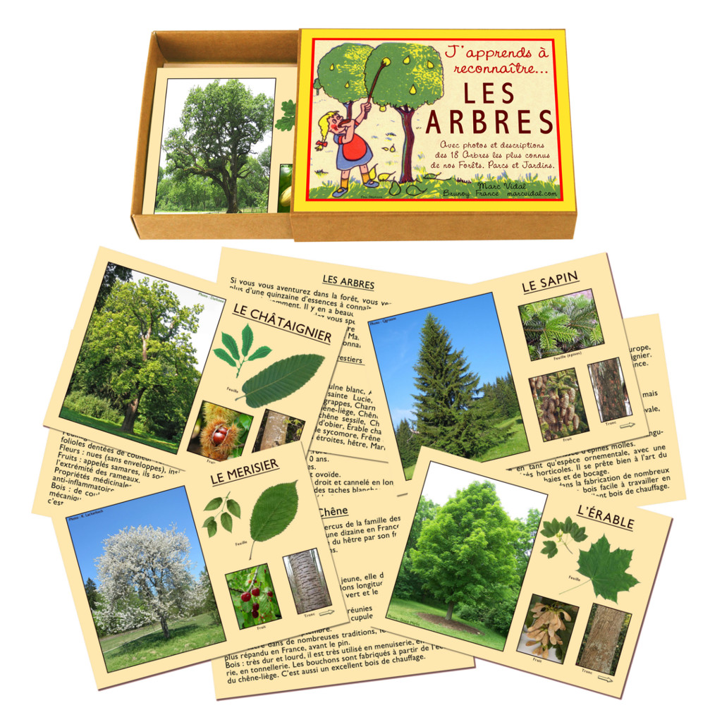 J'Apprends à Reconnaître les Arbres jeu reconnaitre les arbre apprendre en s'amusant botanique dendrologie