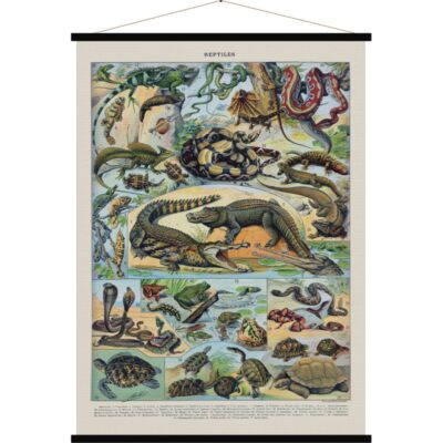 affiche vintage tissu comme a l'ecole reptiles