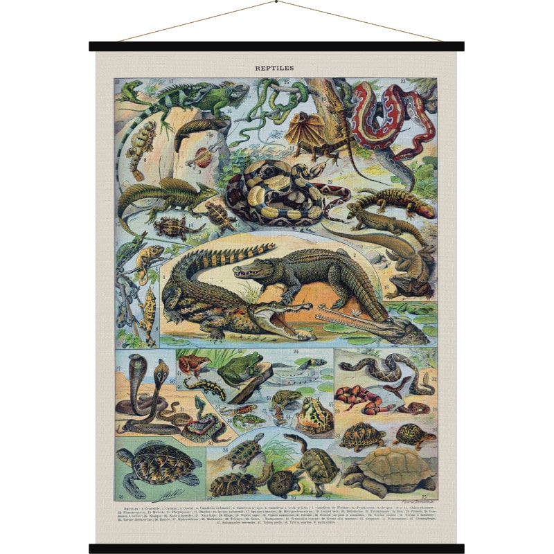 affiche vintage tissu comme a l'ecole reptiles