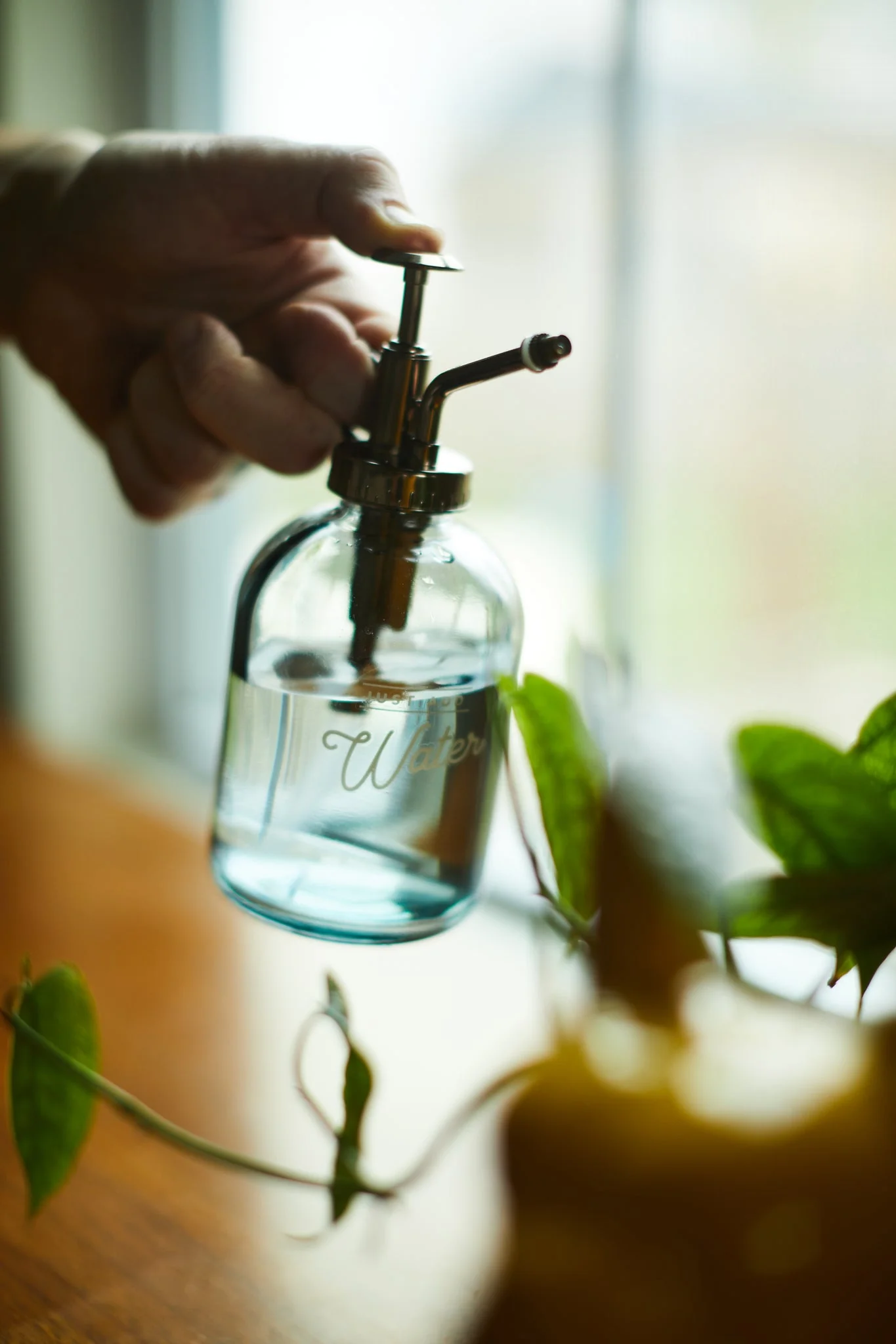 Pulvérisateur De Plante - Gentlemen’s Hardware – Image 4