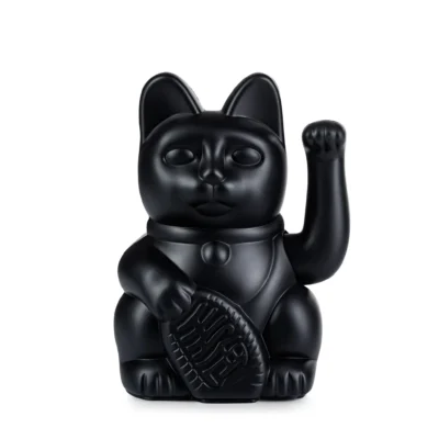 Lucky Cat Noir