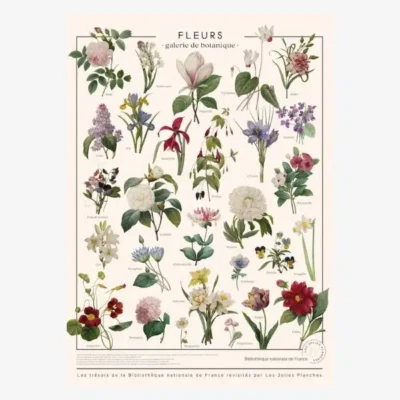 Affiche Murale Scolaire « Fleurs - Galerie de botanique »