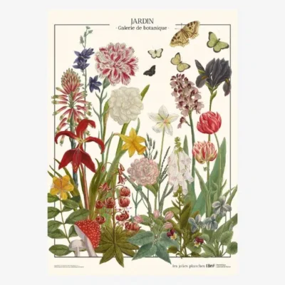 Affiche Murale Scolaire « Jardin - Galerie de botanique »