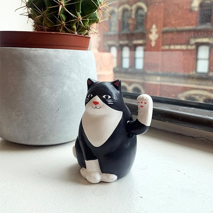 Kikkerland Chat Solaire