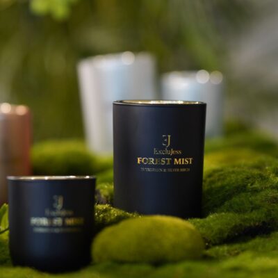(NOUVEAUTÉ) Bougie parfumée : Sapin et bouleau argenté Forest Mist - ExcluJess (Édition Limitée)