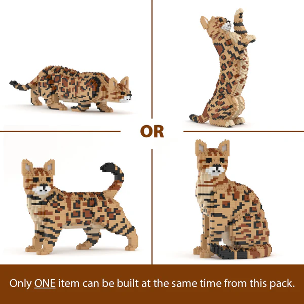 JEKCA - Bengal Cat (4 en 1) brun