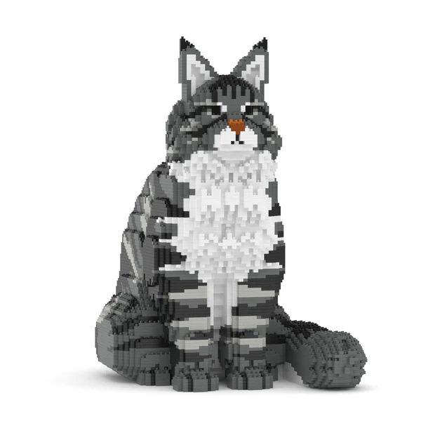 JEKCA - Chat Maine Coon gris assis