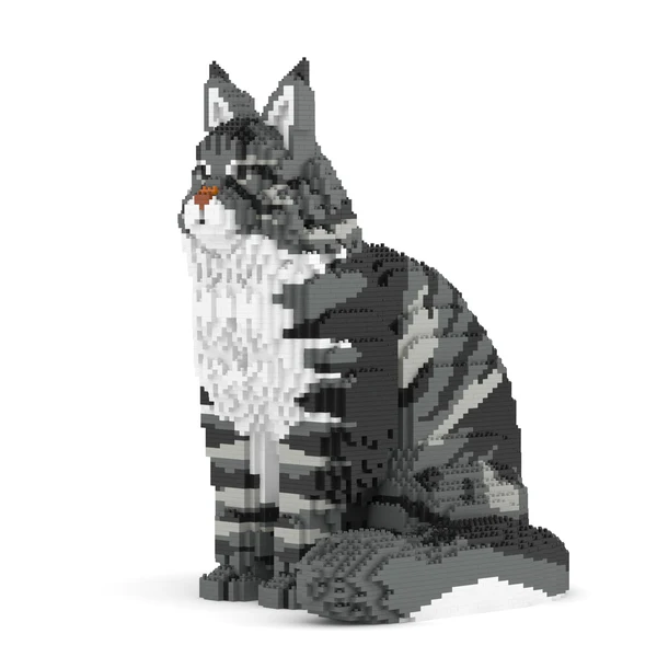 JEKCA - Chat Maine Coon gris assis – Image 2
