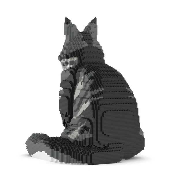 JEKCA - Chat Maine Coon gris assis – Image 3