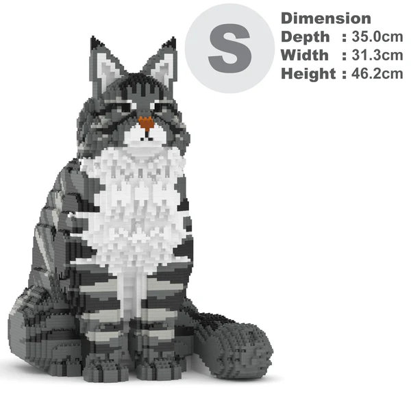 JEKCA - Chat Maine Coon gris assis – Image 5